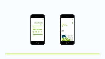 威海农业品牌形象塑造 从Logo设计到移动应用开发的全方位升级