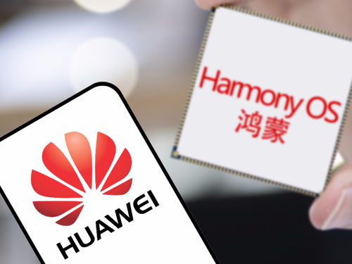 手机软件设计与开发 创新驱动用户体验的变革